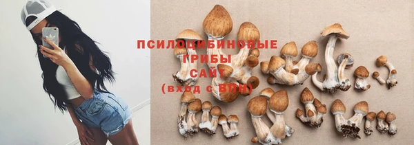 МДПВ Алексин