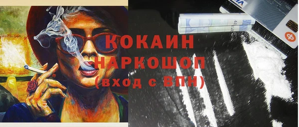 spice Алзамай