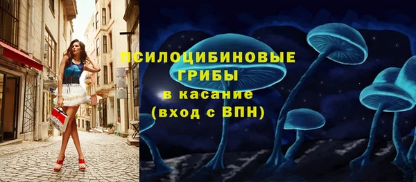 spice Алзамай
