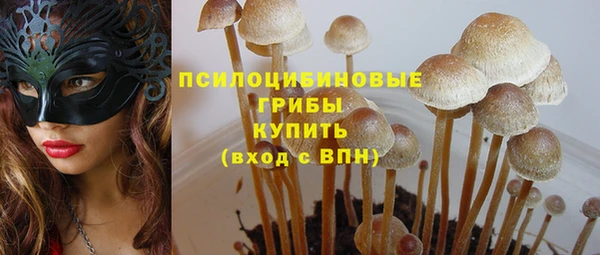индика Алексеевка