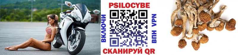 Псилоцибиновые грибы Magic Shrooms  Белореченск 